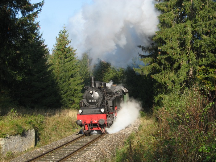 75 1118 in der Steigung im Wald hinter Amstetten, am 07.10.2007
