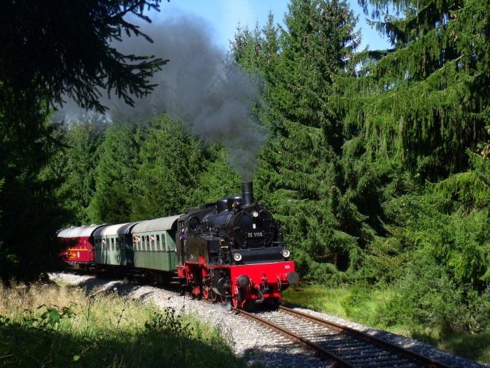 75 1118 mit den zweiten, mittäglichen Zug von Amstetten nach Gerstetten, Steigung im Wald hinter Amstetten, um 12:47h am 09.09.2012.