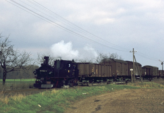 99 1562 mit Güterzug aus Oschatz an der Einfahrt von Mügeln, um ca. 13:00h am 15.03.1977