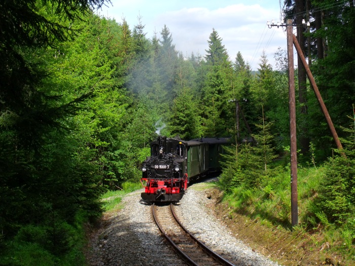 99 1568 mit Zug Nr.27 auf der Preßnitztalbahn, in der engen Kurve bei km 20,2 im Schwarzwasser- Tal zwischen Schmalzgrube und Schlössel, um 16:28 am 26.05.2012