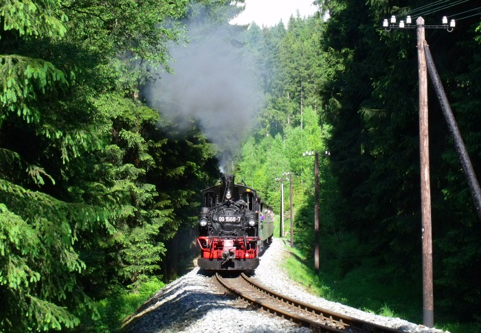 99 1568 mit Zug Nr.27 direkt vorm Haltepunkt Loreleifelsen, um 16:33h am 28.05.2012