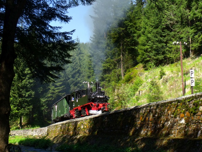 99 1568 mit Zug Nr.15 in der Kurve hinter dem kleinen Einschnitt, direkt am Ufer des Schwarzwassers bei Strecken-km 20,2, um 15:34h am 19.05.2013