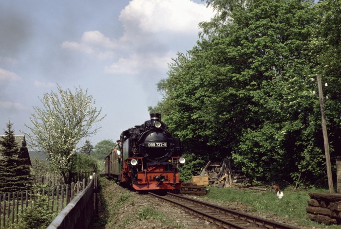 099 737 (99 772) mit Zug N 14319 am Waldrand an den Gärtenh hinter Cranzahl, um 16:10h am 24.05.1992