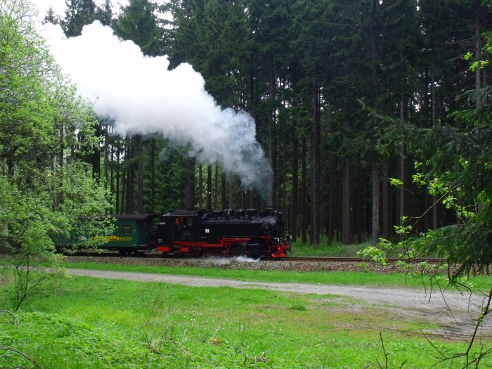 99 794 mit P 1005 hinter Vierenstraße, um 16:58h am 13.05.2012