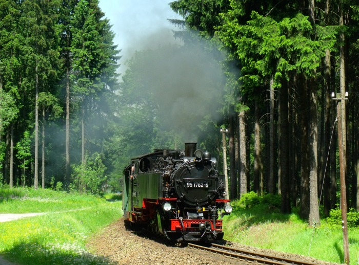 99 1762 mit P 1003 weiter hinten im Wald bei Vierenstraße, um 12:10h am 09.06.2014