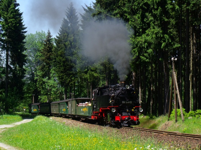 99 1741 mit P 1005 im Fichtenwald hinter Vierenstraße, um 13:48h am 09.06.2014