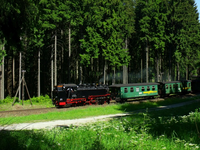 99 1762 Tv rollt mit P 1008 abwärts Richtung Cranzahl, fotografiert im Fichtenwald oberhalb Hp Vierenstraße, um 15:25h am 09.06.2014