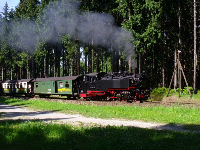 99 1762 mit P 1007 im Fichtenwald hinter Vierenstraße, um 15:47h am 09.06.2014