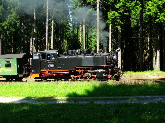 99 1762 mit P 1007 im Fichtenwald hinter Vierenstraße, um 15:47h am 09.06.2014