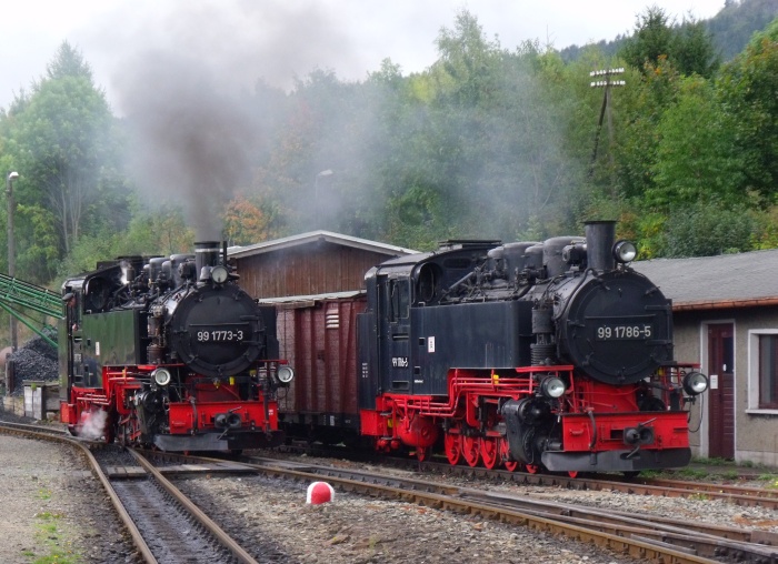 99 1773 fährt an der kalten 99 1786 vorbei, Bahnhof Cranzahl um 13:05h am 27.09.2019