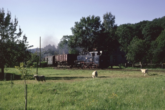 99 1794 Tv mit Güterzug abwärts bei Ulberndorf, am 01.09.1989