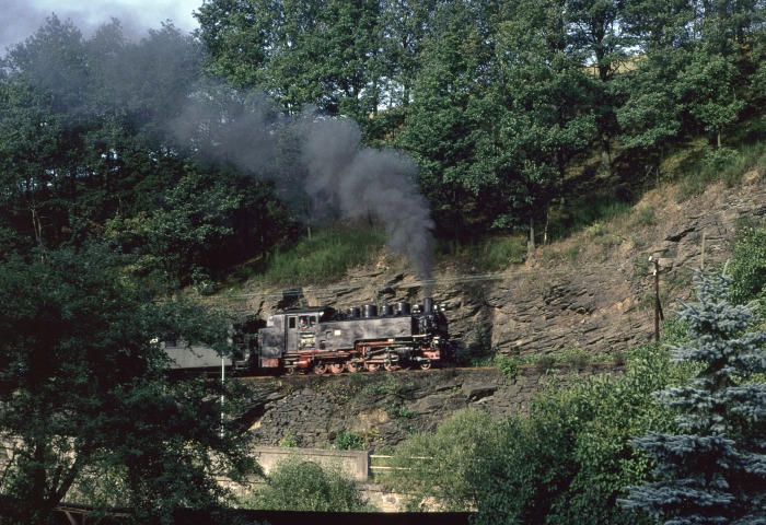 99 1794 mit P 14273 Ausfahrt Seifersdorf, am 01.09.1989