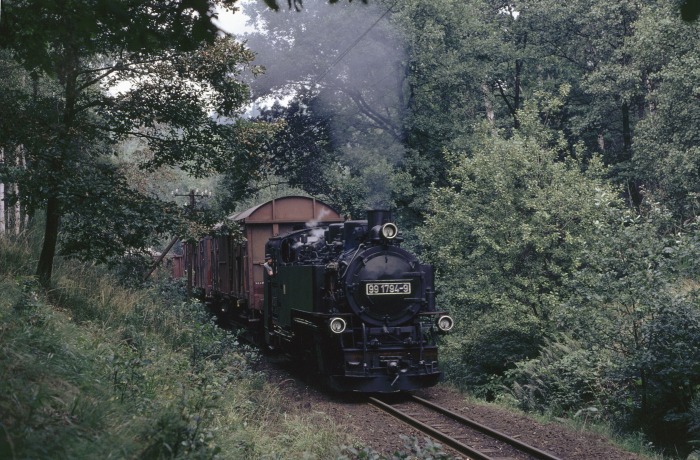 99 1794 mit Güterzug im Wald zwischen Seifersdorf und Malter, um 14:05h am 07.09.1989