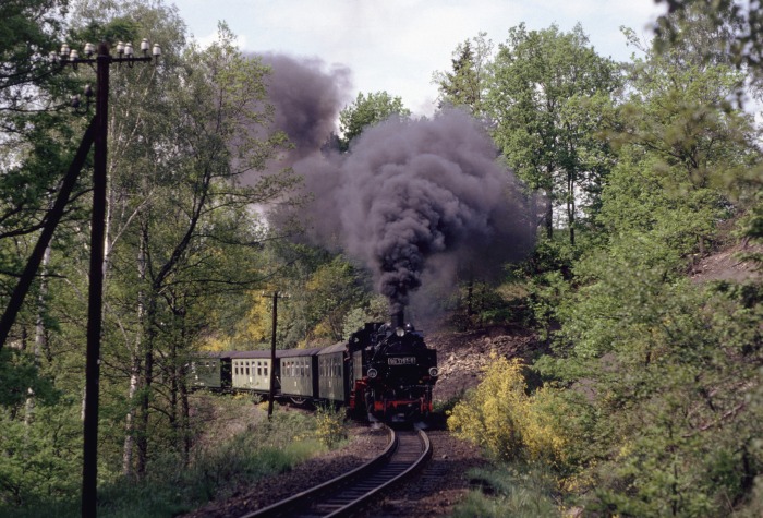 99 1761 mit GmP 69913 zwischen Seifersdorf und Malter, am 12.05.1990