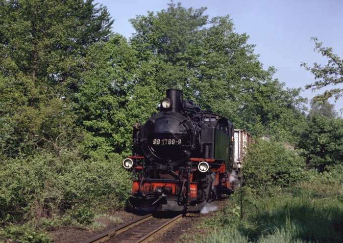 99 1789 mit Güterzug hinter Seifersdorf, am 14.05.1990
