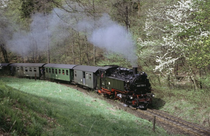 099 735 (99 762) vor „N“14269 im Rabenauer Grund zwischen Rabenau und Spechtritz, um 14:56h am 30.04.1992