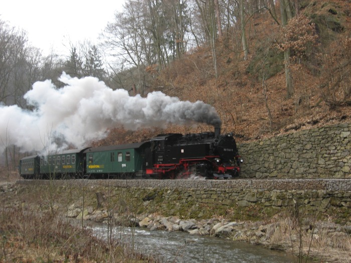 99 1746 mit P 5006 im Rabenauer Grund, um 14:26h am 22.03.2009