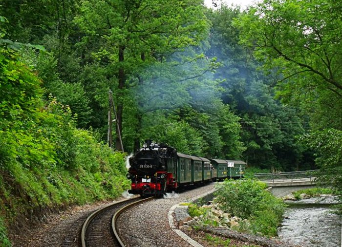 99 1734 mit P 5006 an der Einfahrt vom Haltepunkt Spechtritz, direkt an der rauschenden Weißeritz, um 14:35h am 25.07.2011