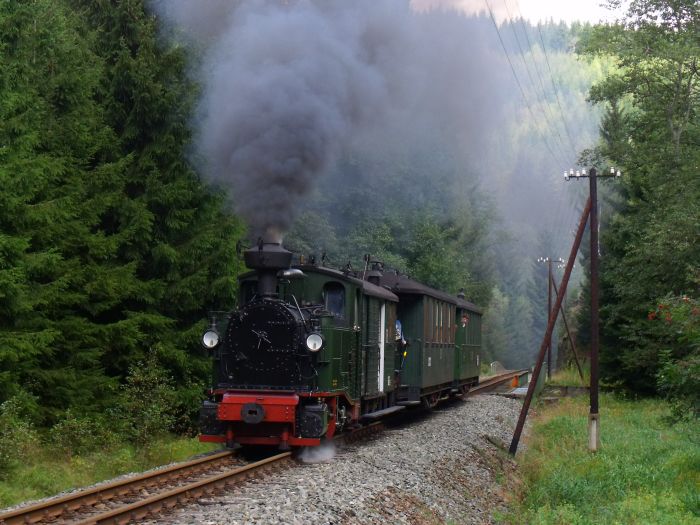 No 54 mit Zug 11, hinter der Schwarzwasser-Brücke hinterm Loreleifelsen vor dem Bahnhof Schmalzgrube, um 11:38h am 28.08.2011