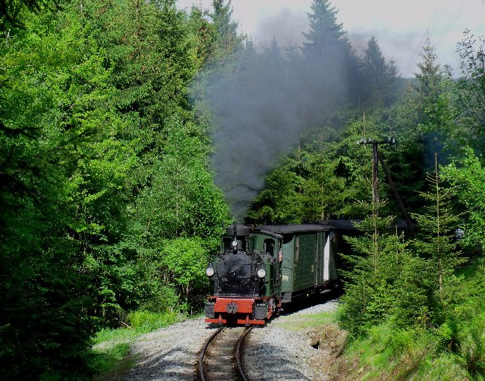 No 54 mit Zug 55 auf der Preßnitztalbahn, direkt auf dem kleinen Wanderweg-Bü in der Kurve im Tal weit oberhalb von Schmalzgrube, um 17:02h am 26.05.2012 No 54 mit Zug 55 auf der Preßnitztalbahn, direkt auf dem kleinen Wanderweg-Bü in der Kurve im Tal weit oberhalb von Schmalzgrube, um 17:02h am 26.05.2012