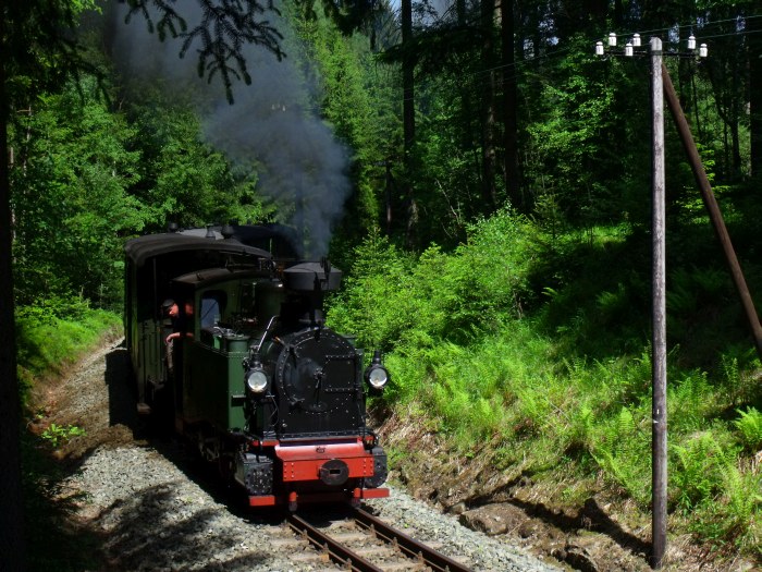 No 54 mit Zug 51 auf der Preßnitztalbahn, in der Kurve im Tal weit oberhalb von Schmalzgrube bei km 20,2, um 15:10h am 08.06.2014