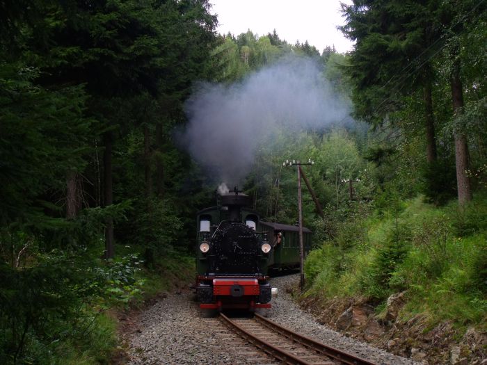 No 54 mit Zug 15 in dem kleinen Einschnitt in der engen Kurve im Schwarzwasser-Tal zwischen Schmalzgrube und Schlössel,um 15:31 am 28.08.2011