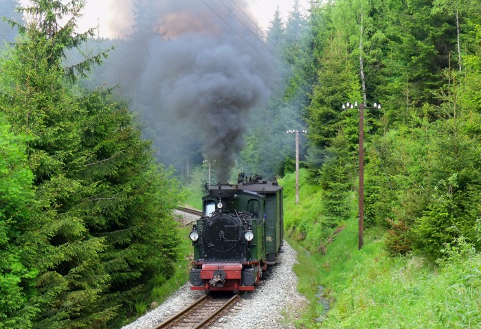 No 54 mit Zug 51 auf der Preßnitztalbahn, im Tal zwischen Schmalzgrube und Schlössel bei km 20,9 (vorm Haltepunkt Loreleifelsen), um 15:03h am 28.05.2012