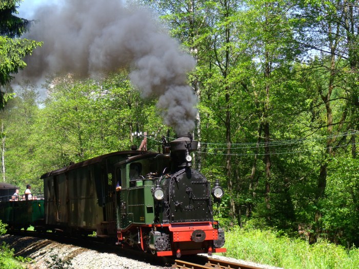No 54 mit Zug 49 auf der Preßnitztalbahn, vor der Einfahrt von Schlössel, um 14:12h am 07.06.2014