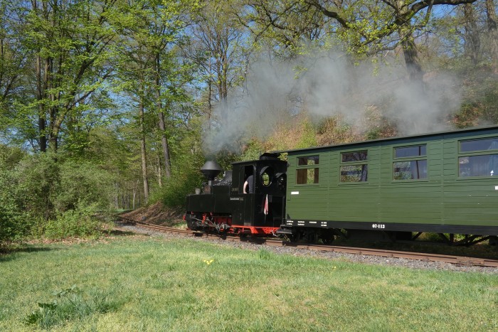 99 3317 mit Zug Richtung Weißwasser im Park hinter Ausfahrt Bad Muskau nahe der Bautzener Straße (B115), um 10:49h am 20.04.2025