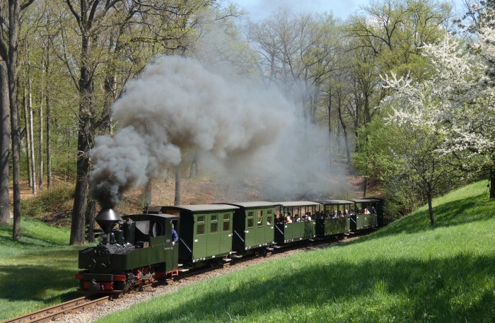 99 3315  mit Zug Muskau→Weißwasser in der Kurve an der Obstbaumwiese hinter Bad Muskau, um 12:09h am 20.04.2025