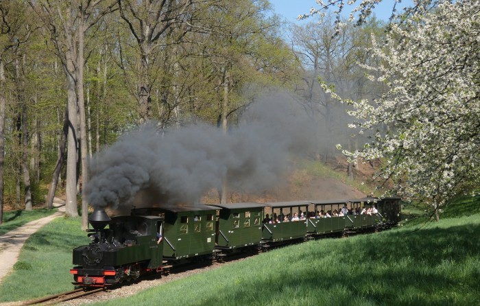 99 3315  mit Zug Muskau→Weißwasser in der Kurve an der Obstbaumwiese hinter Bad Muskau, um 15:19h am 20.04.2025