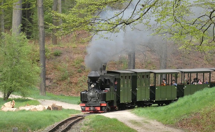 99 3315  mit letztem Zug am Ostersonntag nach Weißwasser in der Kurve an der Obstbaumwiese hinter Bad Muskau, 18:14h am 20.04.2025