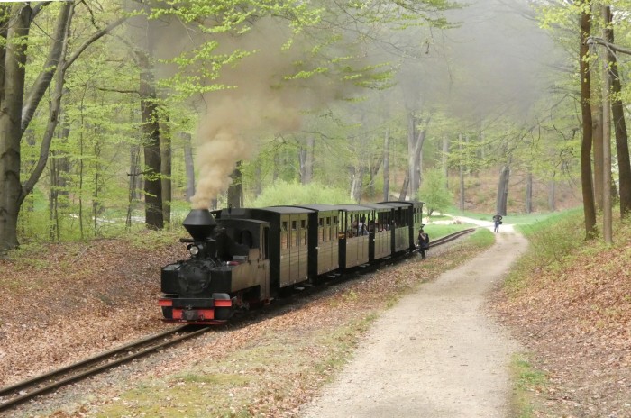 99 3315  mit letztem Zug am Ostersonntag nach Weißwasser, Spezielhalt am Waldrand hinter Bad Muskau, 18:15h am 20.04.2025