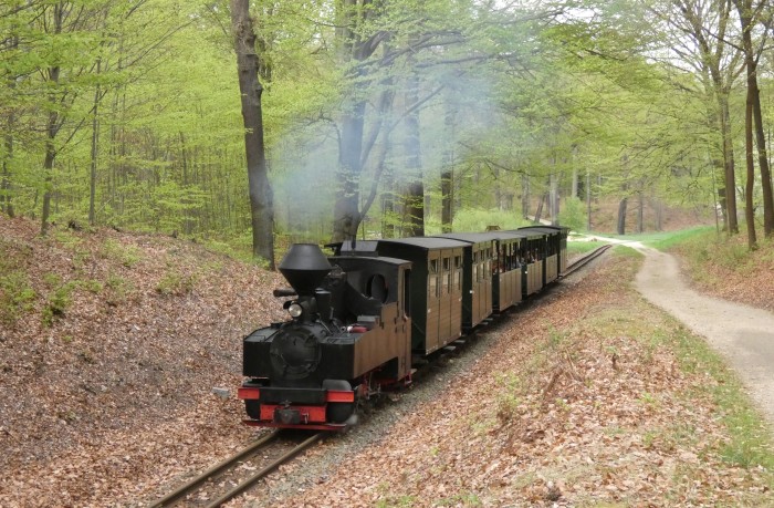 99 3315  mit letztem Zug am Ostersonntag nach Weißwasser, Neustart nach Spezielhalt am Waldrand hinter Bad Muskau, 18:17h am 20.04.2025