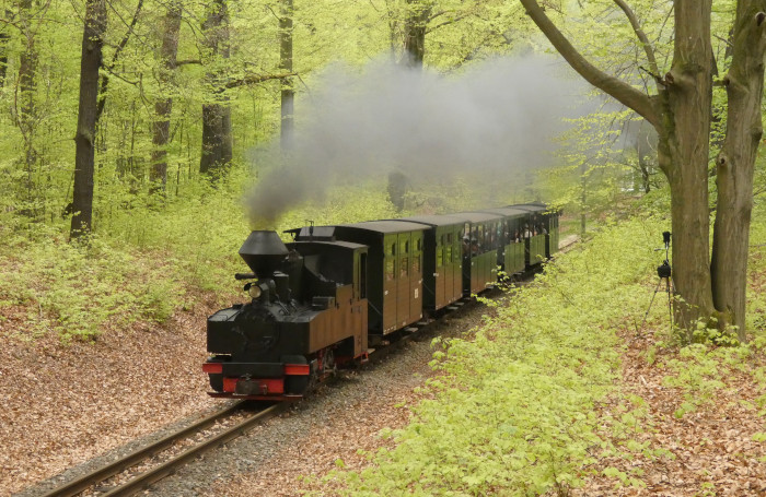 99 3315 mit Zug Bad Muskau→Weißwasser im Wald kurz vor dem Haltepunkt Feuerturmteich, um 12:12h am 21.04.2025