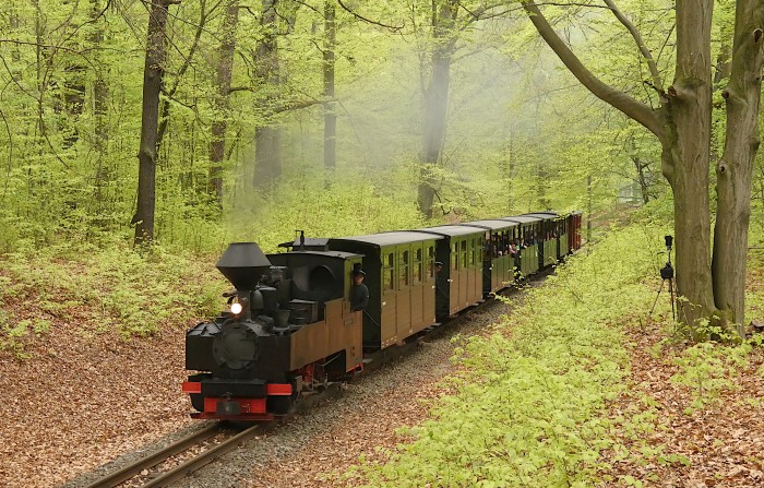 99 3317 mit Zug Bad Muskau→Weißwasser im Wald kurz vor dem Haltepunkt Feuerturmteich, um 13:52h am 21.04.2025