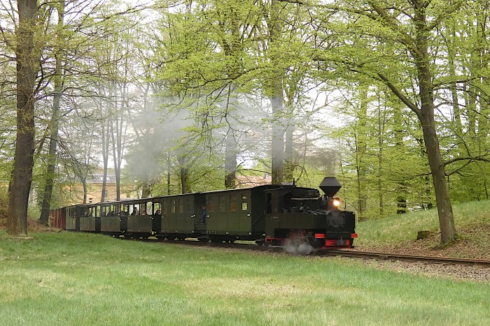 99 3317 mit vorletztem Zug Muskau→Weißwasser zu Ostern 2025, aufgenommen im schon etwas dunkler gewordenen Waldrands in der Steigung hinter Bad Muskau, um 16:53h am 21.04.2025