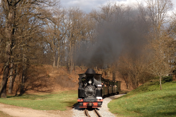 99&nbsp;3315&nbsp; mit Zug Bad Muskau&rarr;Weißwasser, in der Kurve am Waldweg-Bahnübergang an der Obstbaumwiese weit hinter Ausfahrt Bad Muskau, um 16:48h am 04.04.2026