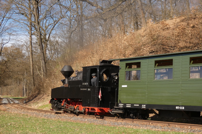 99&nbsp;3315&nbsp; mit Zug Bad Muskau&rarr;Weißwasser,hinter Ausfahrt Bad Muskau im Kurparkgelände nahe Straße, Kurve hinter den Rododendronbüschen, um 10:38h am 05.04.2026