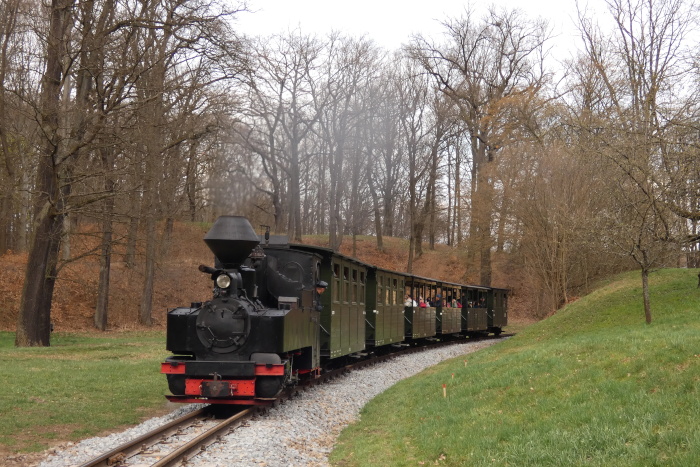 99&nbsp;3315&nbsp; mit vorletztem Zug Bad Muskau&rarr;Weißwasser des Tages in der Kurve an der Obstbaumwiese, um 16:50h am 05.04.2026
