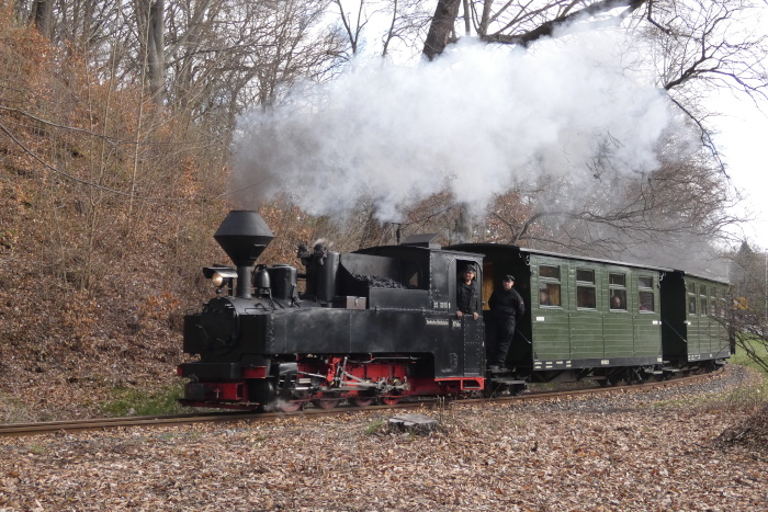 99&nbsp;3315&nbsp; mit erstem Zug des Tages von Bad Muskau Richtung Weißwasser hinter Ausfahrt Bad Muskau im Kurparkgelände in der Kurve am Wald hinter den Rododendronbüschen, um 10:38h am 06.04.2026