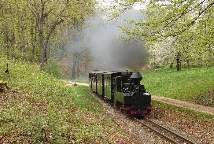 99 3315  mit Zug Muskau→Weißwasser, aufgenommen und fotografiert hinter der letzten Kurve am Park-Waldrand in der Steigung hinter Bad Muskau, um 15:20h am Ostermontag, dem 21.04.2025