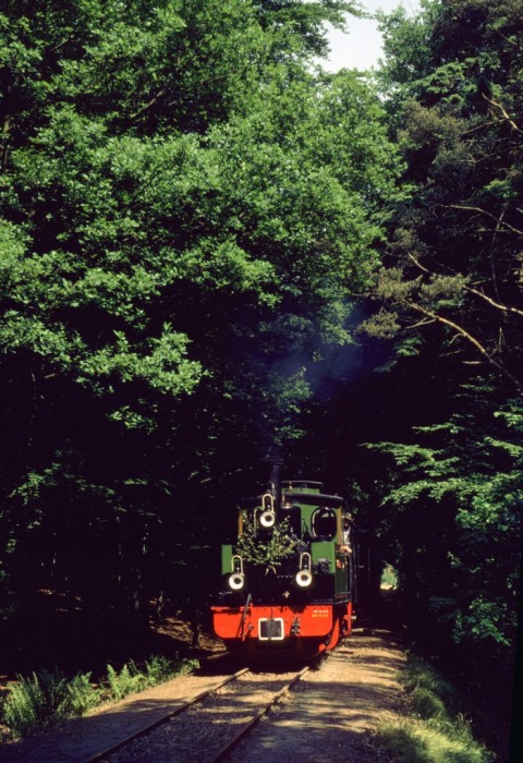 HERMANN mit Zug 9 im Wald Vilser Holz, am 03.06.1979