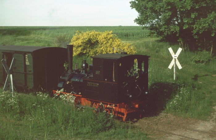 FRANZBURG Tv kommt abwärts gefahren mit dem leeren Zug aus „Orpheus- Express“ kurz vorm Vilser Holz, um 8:15h am 30.05.2004