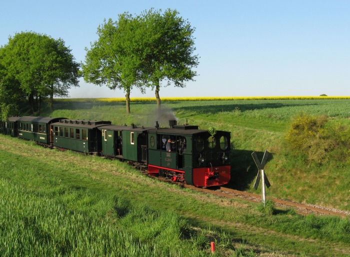 PLETTENBERG mit Zug 102 (leerer Sänger-Zug) abwärts am Vilser Holz, um 8:05h am 11.05.2008