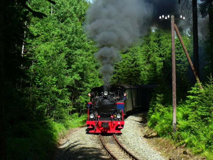 AQUARIUS C mit Zug 51 (der kurze Pendelzug Schmalzgrube-Jöhstadt) auf der Preßnitztalbahn in der engen Kurve im Tal zwischen Schmalzgrube und Schlössel bei Km 20,2, um 16:05h am 08.06.2014