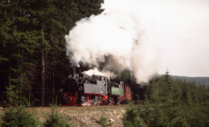 99 5901 + Nr.13 mit Zug zum Brocken vor Schierke, am 15.04.2000