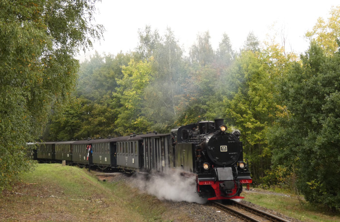 Lok 11  mit langem Infozug zurück nach Benndorf, im kleinen Wald (Lindenholz) direkt auf dem Wanderweg-Bü hinter Ausfahrt Kupferkammerhütte, um 13:12h am 07.10.2023
