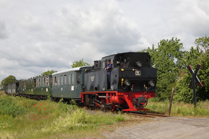 Lok 11 Tv mit Infozug → Hettstedt-Kupferkammerhütte in den Feldern zwischen Bocksthal und Zirkelschacht, um 10:45h am 29.05.2025 Lok 11 Tv mit Infozug → Hettstedt-Kupferkammerhütte in den Feldern zwischen Bocksthal und Zirkelschacht, um 10:45h am 29.05.2025