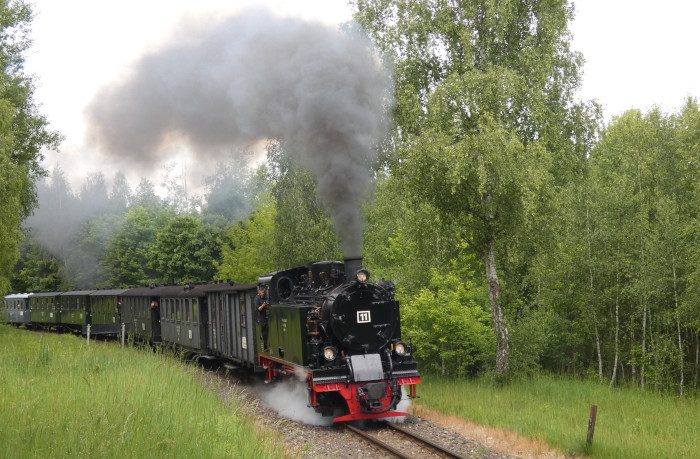 Lok 11 mit Infozug zurück Richtung Benndorf, schon fast dramatisch laut (und schnell!) in dem kleinen Wald hinter der Ausfahrt Kupferkammerhütte, um 13:25h am 29.05.2025 Lok 11 mit Infozug zurück Richtung Benndorf, schon fast dramatisch laut (und schnell!) in dem kleinen Wald hinter der Ausfahrt Kupferkammerhütte, um 13:25h am 29.05.2025